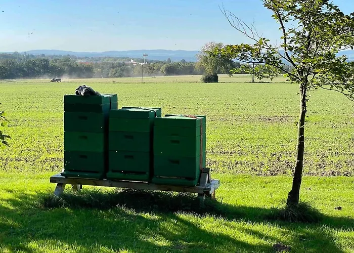 Im Gruenen Apartment *